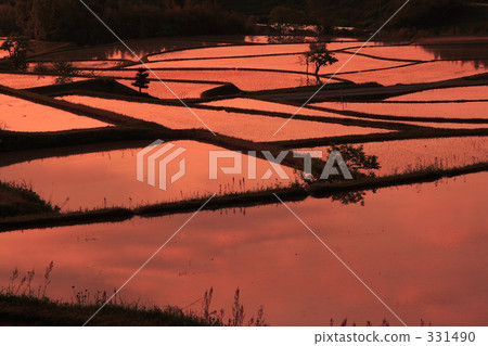 梯田 日落 夕陽 331490