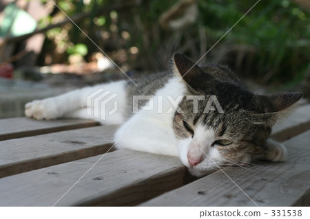 睡眠 睡眠 331538