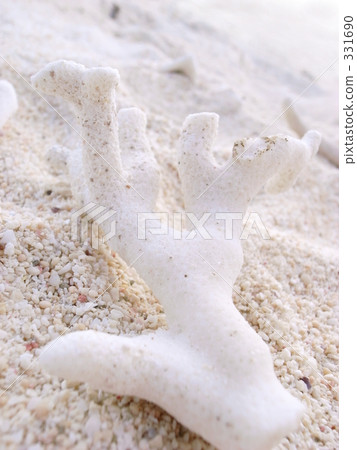 南國 南方島嶼 南方 331690