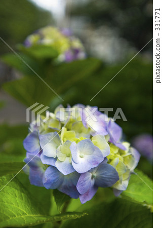 亞洲 亞洲人 潮濕 331771