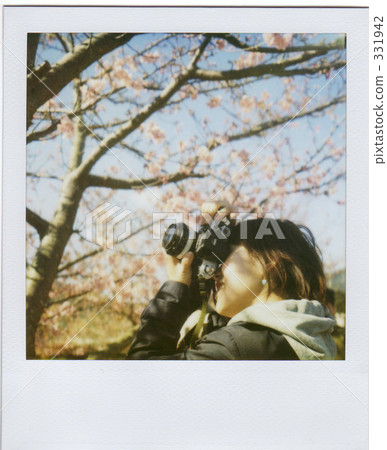 peek, 20, peach 331942
