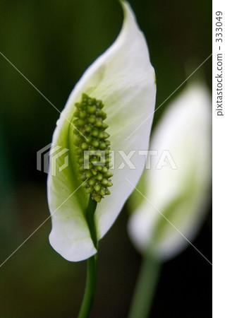 Spatialism Spatialism 333049