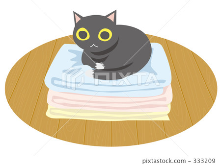 Cat and laundry 333209