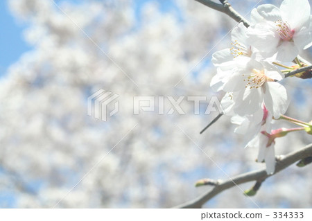 hill, daytime, comfort 334333