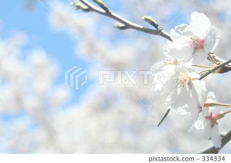 hill, daytime, comfort 334334