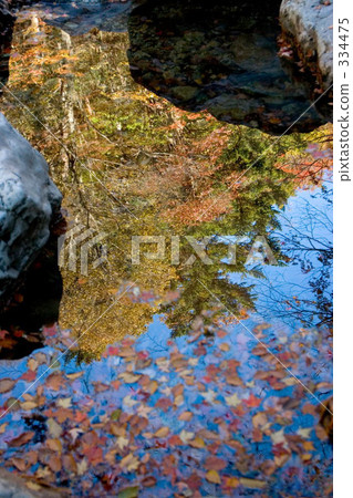 A water glass A water glass 334475