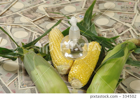 oil money, Spirit Lamp, biodiesel 334502