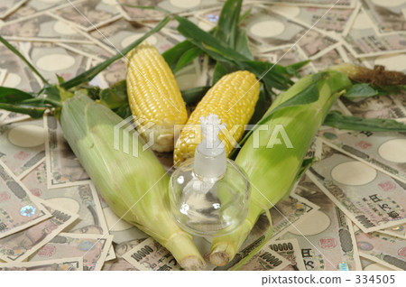 石油資金 酒精燈 日元 334505