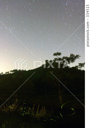 land of fireflies, firefly, evening cool 334515