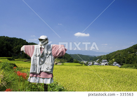 Fruitful autumn 335563