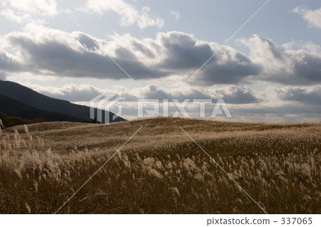 Senji plateau in autumn 337065