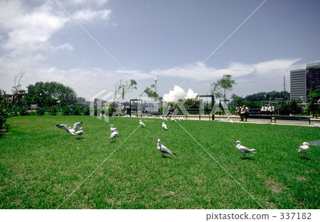 Park in sydney Park in sydney 337182