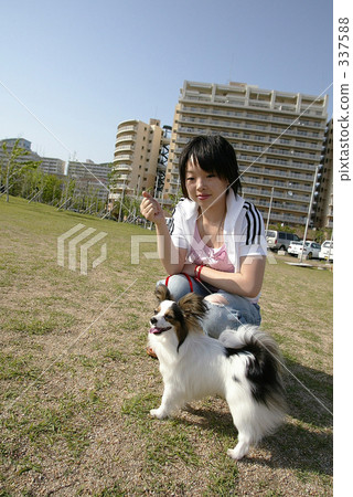 Walk with a dog 337588