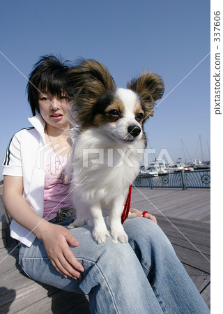 Walk with a dog Walk with a dog 337606