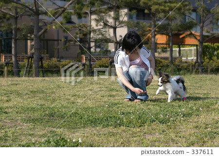 Walk with a dog 337611