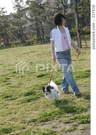 Walk with a dog 337616