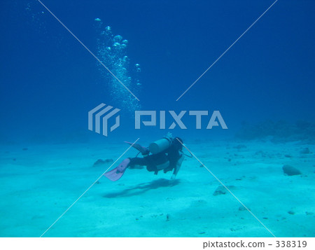 在海下 338319