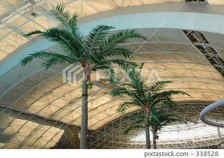 Tropical country 338528