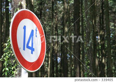 Forest and 14 tons Forest and 14 tons 339405