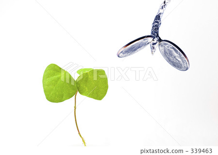 生命和金錢的芽 339463