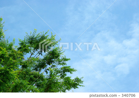 green, sky, nature 340706