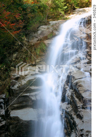 Aoitaki Aoitaki 340829