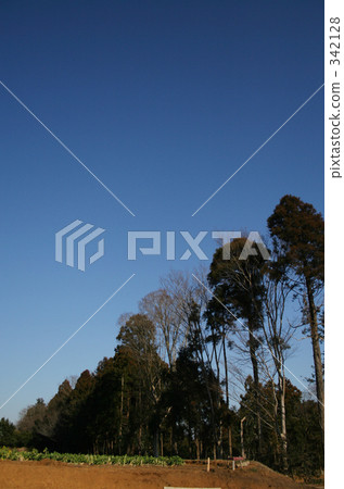 Sunny sky 342128