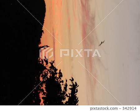 A sunset · · a small burn · · ·. 342914