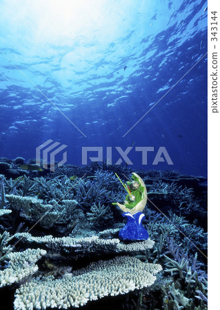 對象 對象 343144