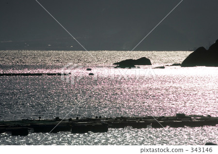 閃亮的大海 閃亮的大海 343146