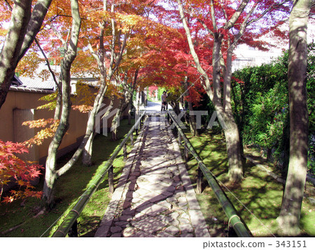 Koetsuji的秋天 Koetsuji的秋天 343151