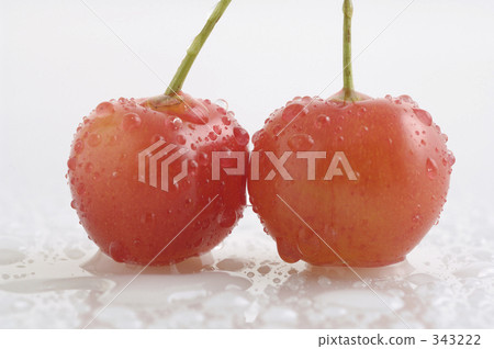 Cherry Cherry 343222