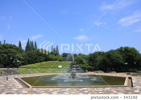 初夏的世田谷公園3 343288