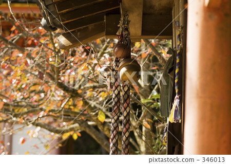 在秋天的區域 346013