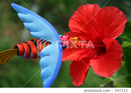 hibiscus, tin toy, southern countries 347153