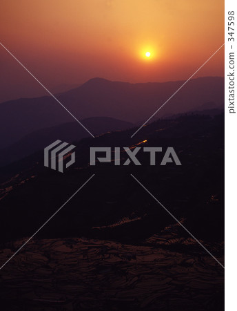 Rice terrace of sunset 347598