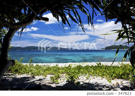 在陰涼處休息 347622