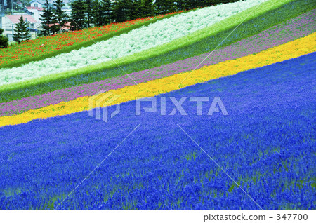 Hanasaku Hill 347700