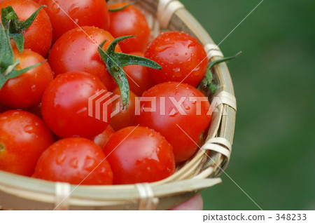 Fresh, mini tomatoes. Fresh, mini tomatoes. 348233