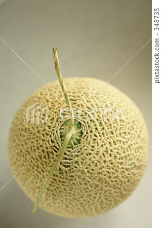 melon melon 348735