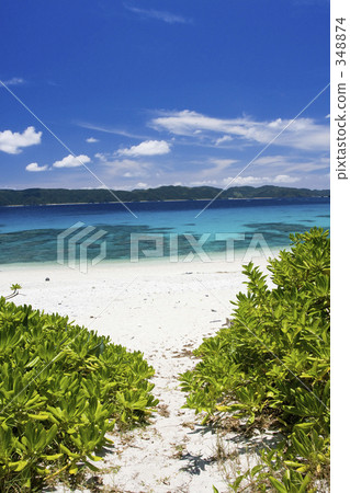 超越草...... 348874