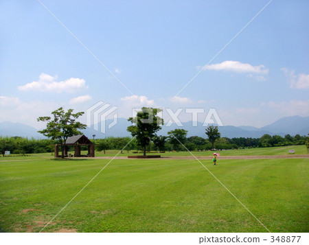 bug catching, insect catching, insect collecting 348877