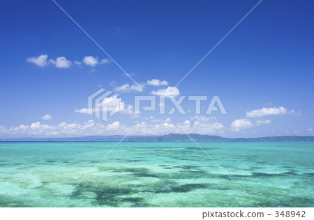 Tropical summer tropical land Tropical summer tropical land 348942