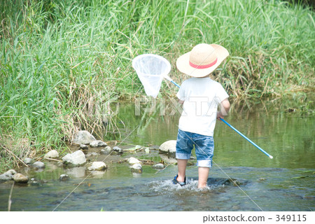 魚醬 魚醬 349115