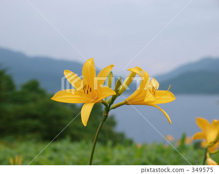 北湖夏季 北湖夏季 349575