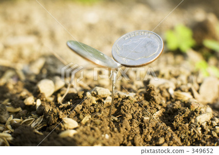 Sprout 349652