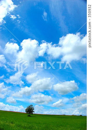 草地 草原 牧場 350932