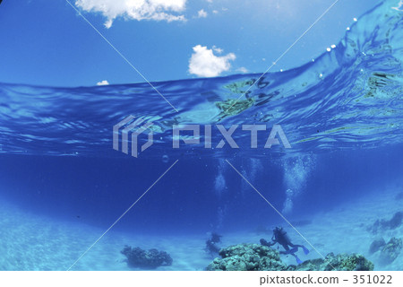 水下照片 戴水肺潛水 沙地 351022