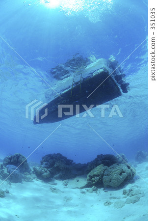 水下照片 水生的 水下 351035