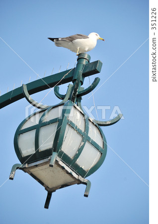 setana, avian, hokkaido 351226